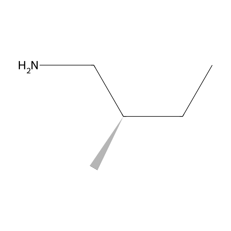 (S)-(-)-2-Methylbutylamine