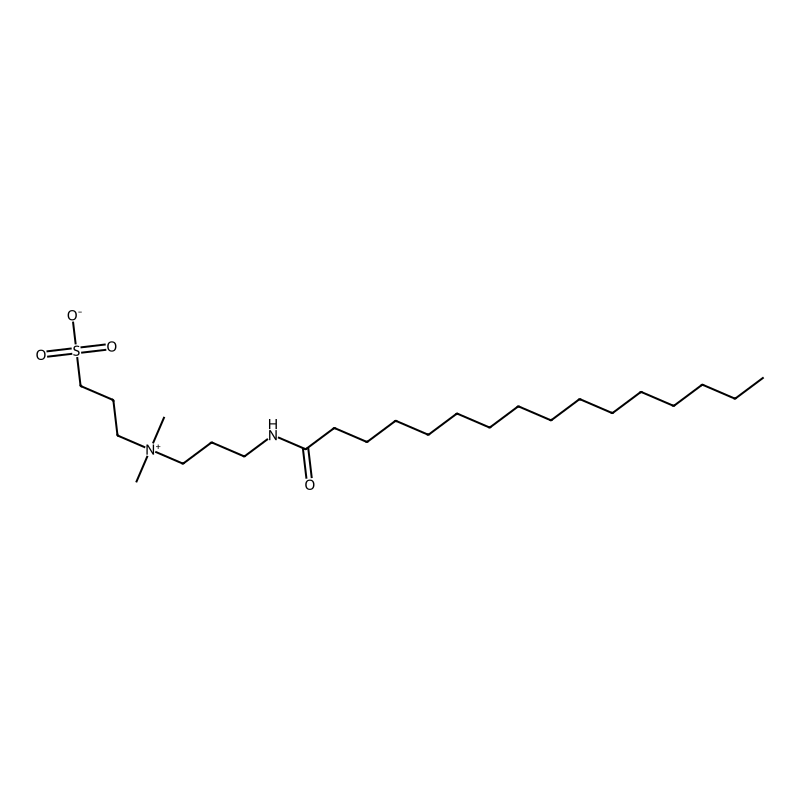 3-(N N-DIME(3-PALMITOYLAMINOPROPYL)AMMO-