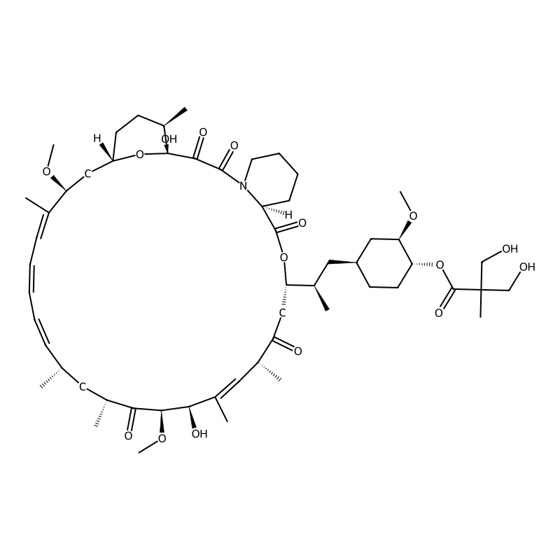 Temsirolimus